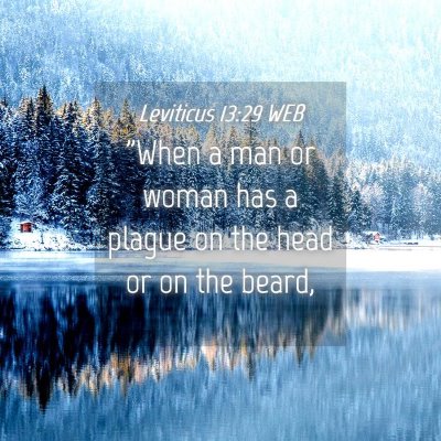 Picture 04 - Leviticus 13:29 WEB - 