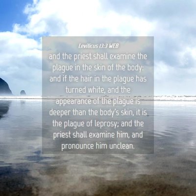 Picture 04 - Leviticus 13:3 WEB - and the priest shall examine the plague in the - Bible Verse Picture