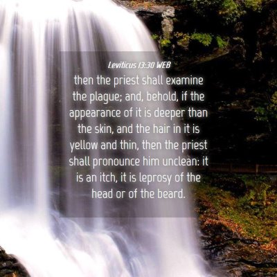 Picture 04 - Leviticus 13:30 WEB - then the priest shall examine the plague; and, - Bible Verse Picture