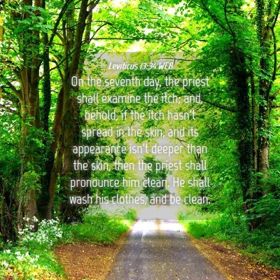 Picture 04 - Leviticus 13:34 WEB - On the seventh day, the priest shall examine the - Bible Verse Picture