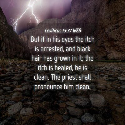 Picture 04 - Leviticus 13:37 WEB - But if in his eyes the itch is arrested, and - Bible Verse Picture