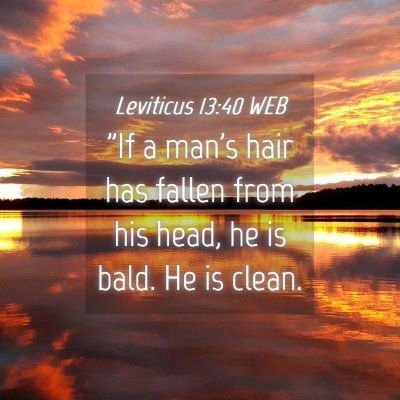 Picture 04 - Leviticus 13:40 WEB - 