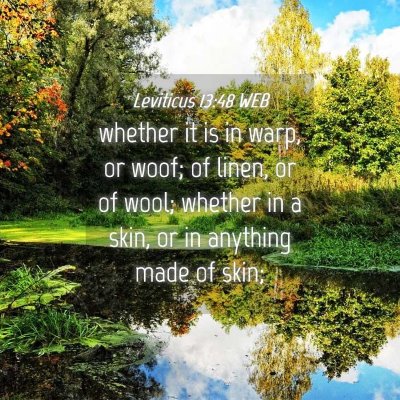 Picture 04 - Leviticus 13:48 WEB - whether it is in warp, or woof; of linen, or of - Bible Verse Picture