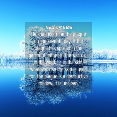 Picture 04 - Leviticus 13:51 WEB - He shall examine the plague on the seventh day. - Bible Verse Picture