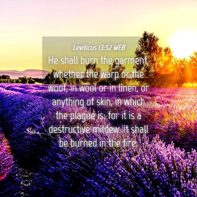 Picture 04 - Leviticus 13:52 WEB - He shall burn the garment, whether the warp or - Bible Verse Picture