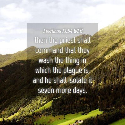 Picture 04 - Leviticus 13:54 WEB - then the priest shall command that they wash the - Bible Verse Picture