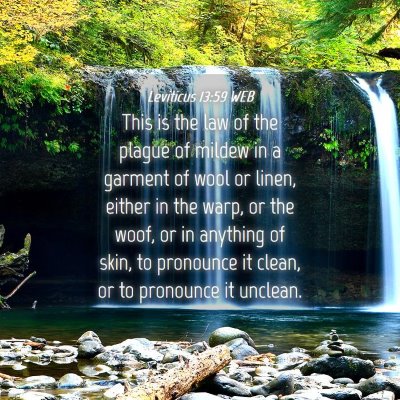 Picture 04 - Leviticus 13:59 WEB - This is the law of the plague of mildew in a - Bible Verse Picture