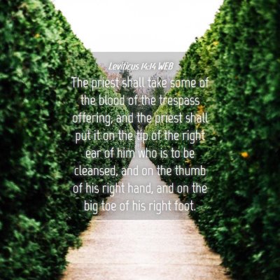 Picture 04 - Leviticus 14:14 WEB - The priest shall take some of the blood of the - Bible Verse Picture