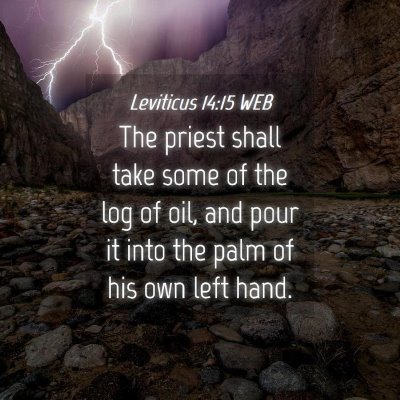 Picture 04 - Leviticus 14:15 WEB - The priest shall take some of the log of oil, and - Bible Verse Picture