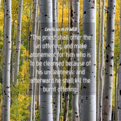 Picture 04 - Leviticus 14:19 WEB - 