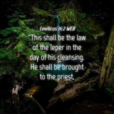 Picture 04 - Leviticus 14:2 WEB - 