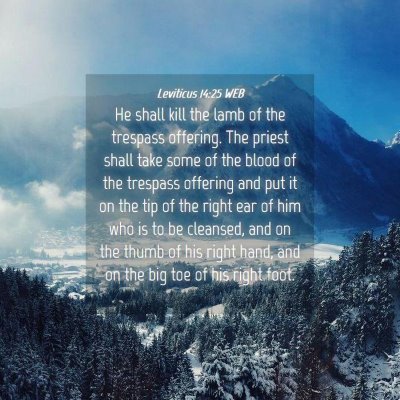 Picture 04 - Leviticus 14:25 WEB - He shall kill the lamb of the trespass offering. - Bible Verse Picture