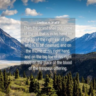 Picture 04 - Leviticus 14:28 WEB - Then the priest shall put some of the oil that is - Bible Verse Picture
