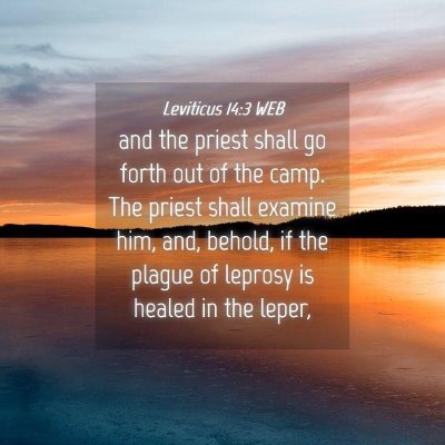 Picture 04 - Leviticus 14:3 WEB - and the priest shall go forth out of the camp. - Bible Verse Picture