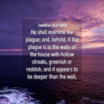 Picture 04 - Leviticus 14:37 WEB - He shall examine the plague; and, behold, if the - Bible Verse Picture