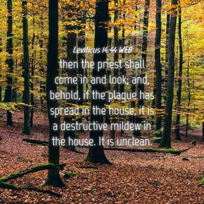 Picture 04 - Leviticus 14:44 WEB - then the priest shall come in and look; and, - Bible Verse Picture