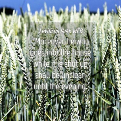 Picture 04 - Leviticus 14:46 WEB - 