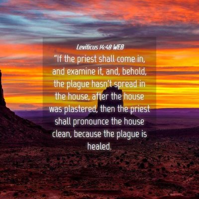 Picture 04 - Leviticus 14:48 WEB - 