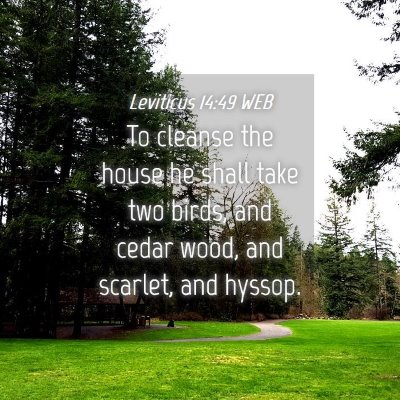 Picture 04 - Leviticus 14:49 WEB - To cleanse the house he shall take two birds, and - Bible Verse Picture