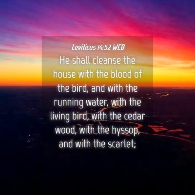 Picture 04 - Leviticus 14:52 WEB - He shall cleanse the house with the blood of the - Bible Verse Picture