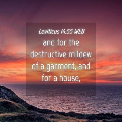 Picture 04 - Leviticus 14:55 WEB - and for the destructive mildew of a garment, and - Bible Verse Picture