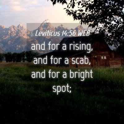 Picture 04 - Leviticus 14:56 WEB - and for a rising, and for a scab, and for a - Bible Verse Picture