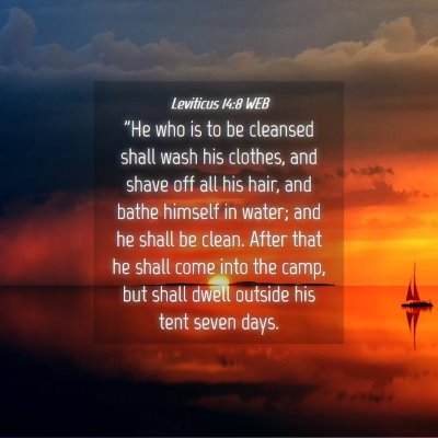 Picture 04 - Leviticus 14:8 WEB -
