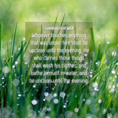 Picture 04 - Leviticus 15:10 WEB - Whoever touches anything that was under him shall - Bible Verse Picture