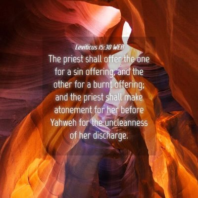 Picture 04 - Leviticus 15:30 WEB - The priest shall offer the one for a sin - Bible Verse Picture