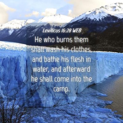 Picture 04 - Leviticus 16:28 WEB - He who burns them shall wash his clothes, and - Bible Verse Picture