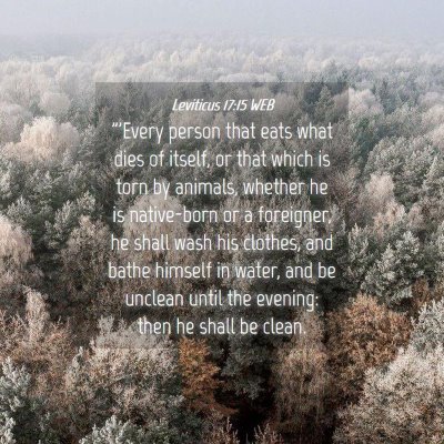 Picture 04 - Leviticus 17:15 WEB - 