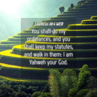 Picture 04 - Leviticus 18:4 WEB - You shall do my ordinances, and you shall keep my - Bible Verse Picture