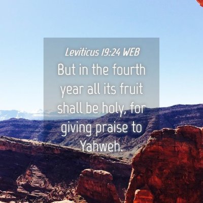 Picture 04 - Leviticus 19:24 WEB - But in the fourth year all its fruit shall be - Bible Verse Picture
