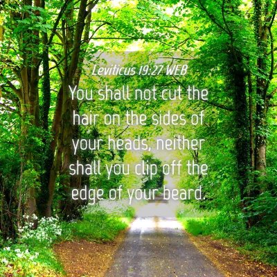 Picture 04 - Leviticus 19:27 WEB - You shall not cut the hair on the sides of your - Bible Verse Picture