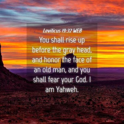 Picture 04 - Leviticus 19:32 WEB - You shall rise up before the gray head, and honor - Bible Verse Picture