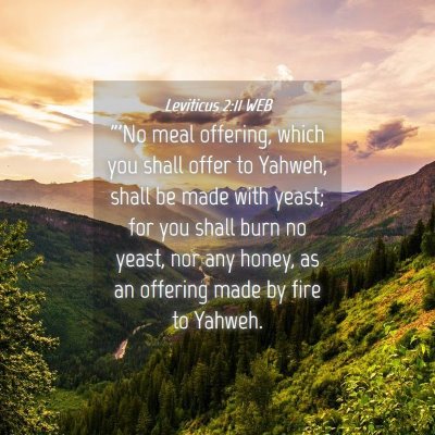 Picture 04 - Leviticus 2:11 WEB - 