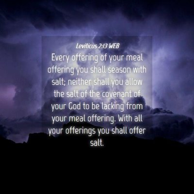 Picture 04 - Leviticus 2:13 WEB - Every offering of your meal offering you shall - Bible Verse Picture