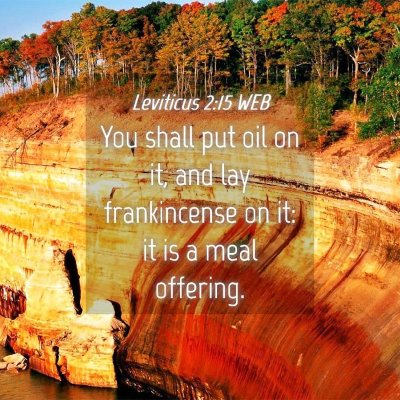 Picture 04 - Leviticus 2:15 WEB - You shall put oil on it, and lay frankincense on - Bible Verse Picture