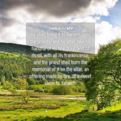 Picture 04 - Leviticus 2:2 WEB - He shall bring it to Aaron's sons the priests; - Bible Verse Picture