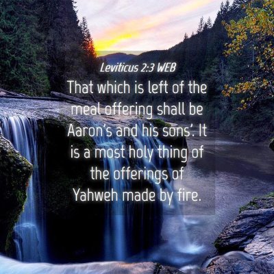 Picture 04 - Leviticus 2:3 WEB - That which is left of the meal offering shall be - Bible Verse Picture