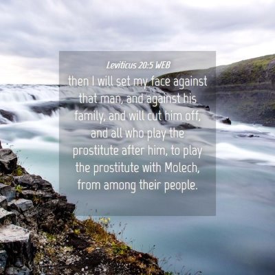 Picture 04 - Leviticus 20:5 WEB - then I will set my face against that man, and - Bible Verse Picture