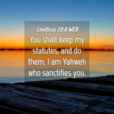 Picture 04 - Leviticus 20:8 WEB - You shall keep my statutes, and do them. I am - Bible Verse Picture
