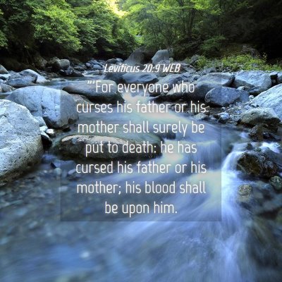 Picture 04 - Leviticus 20:9 WEB - 