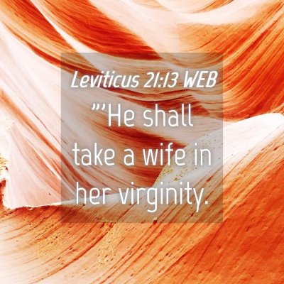 Picture 04 - Leviticus 21:13 WEB - 