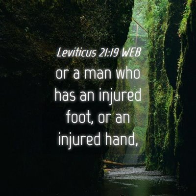 Picture 04 - Leviticus 21:19 WEB - or a man who has an injured foot, or an injured - Bible Verse Picture