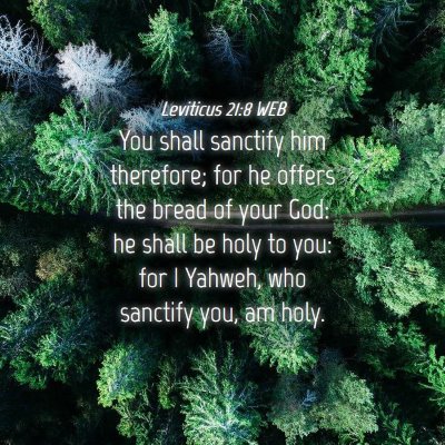 Picture 04 - Leviticus 21:8 WEB - You shall sanctify him therefore; for he offers - Bible Verse Picture