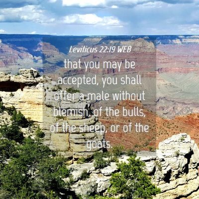 Picture 04 - Leviticus 22:19 WEB - that you may be accepted, you shall offer a male - Bible Verse Picture