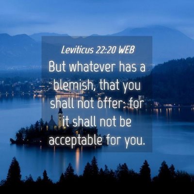 Picture 04 - Leviticus 22:20 WEB - But whatever has a blemish, that you shall not - Bible Verse Picture