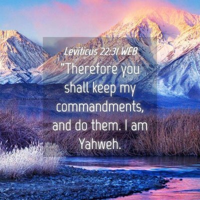 Picture 04 - Leviticus 22:31 WEB - 