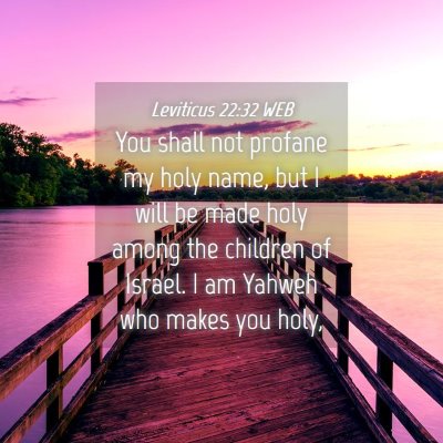 Picture 04 - Leviticus 22:32 WEB - You shall not profane my holy name, but I will be - Bible Verse Picture